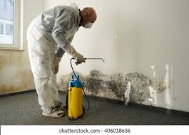 Best Water Damage & Mold Remediation in Bertsch Oceanview, CA